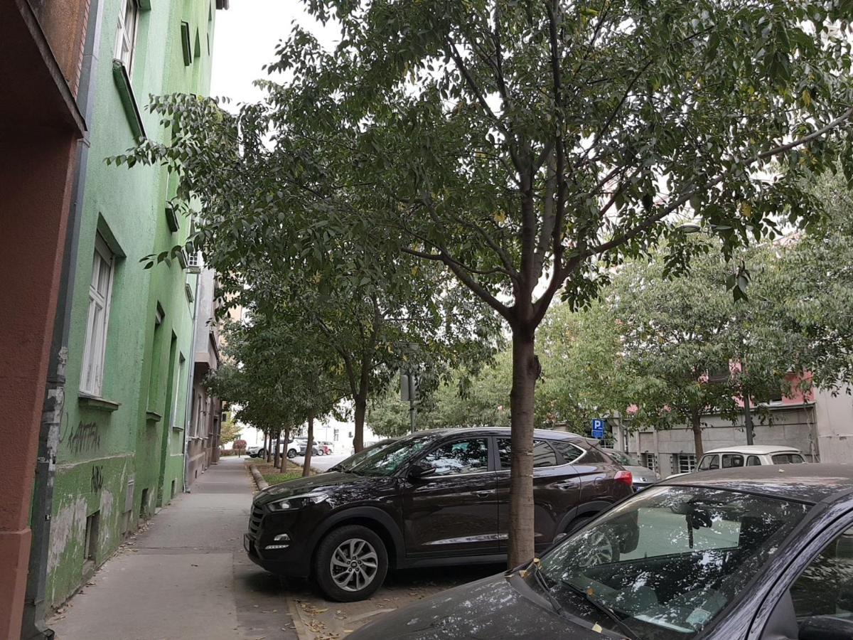 Mia Apartment Novi Sad Eksteriør bilde